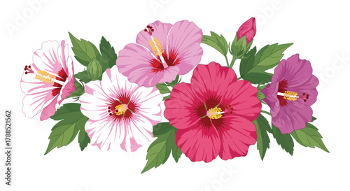 Vibrant bouquet of pink and purple hibiscus flowers with green leaves on a white background