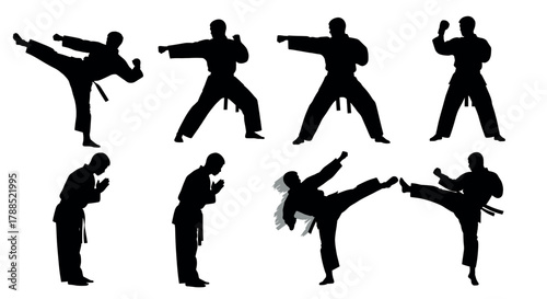 Silhouettes of male martial artists performing various karate poses and techniques, including kicks and punches, against a white background.