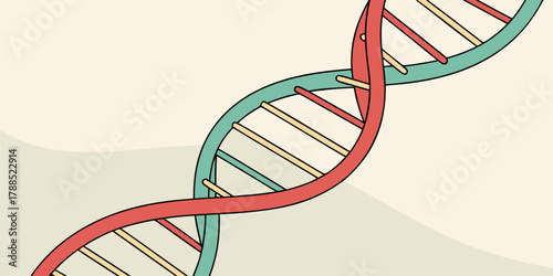 Dna helix structure genetic biology science medical healthcare research molecule chromosome double helix strand model