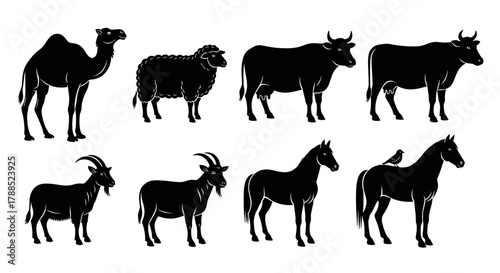 Black silhouette illustrations of various farm and desert animals, including a camel, sheep, bulls, goats, and horses.