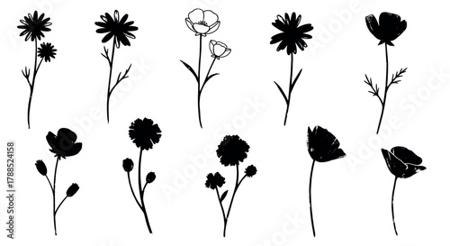 Black silhouette illustrations of various wildflowers, including daisies, poppies, and carnations with delicate stems and blooms.