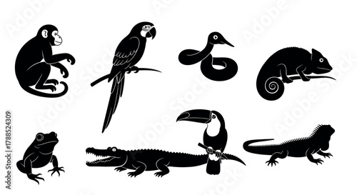 Black silhouette icons of various animals including a monkey, parrot, snake, chameleon, frog, crocodile, toucan, iguana, representing diverse wildlife species.