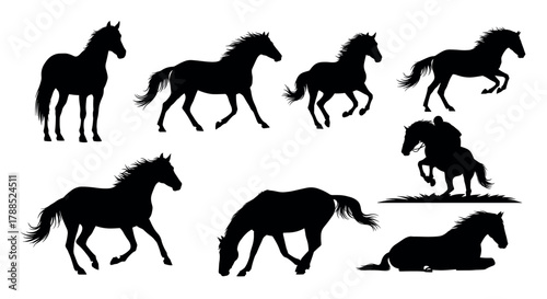 Silhouettes of horses in various poses, including standing, running, and lying down, showcasing diverse equine movements and behaviors.