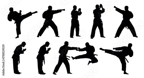 Silhouettes of male karate fighters in various martial arts poses, each demonstrating kicks, punches, and stances in black outlines.