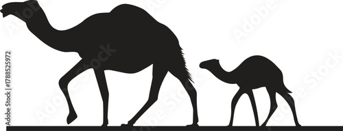 Camel Caravan Duo Walking Line Art Vector Graphic