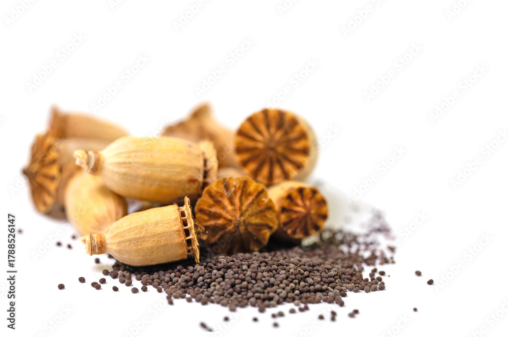 Naklejka premium Getrocknete Mohnkapseln mit Samen vor weißem Hintergrund