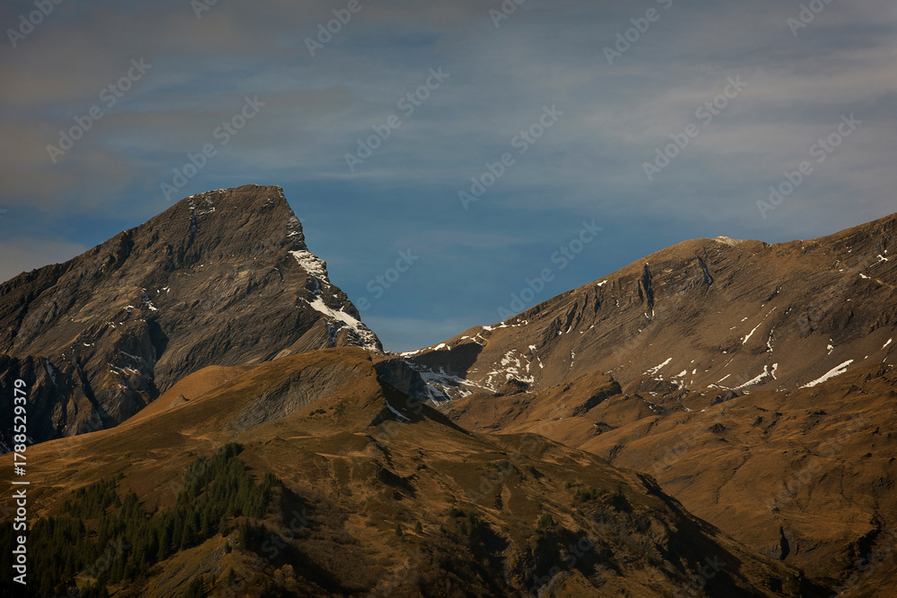 Obraz premium Panoramic view of the Swiss Alps on a dreary autumn day V, Switzerland