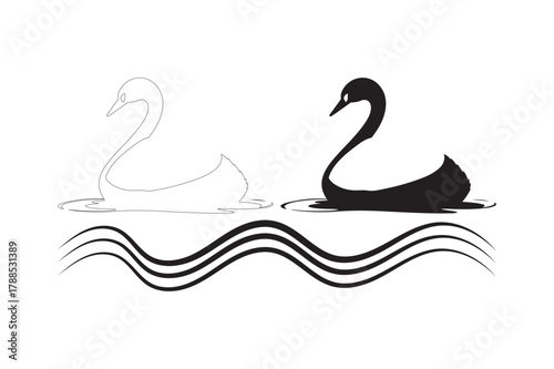 Elegant black swan silhouette on water with faint white swan