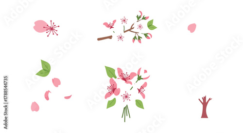 Collection of delicate pink cherry blossom elements including single flowers branches falling petals and a stylized tree