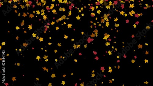 Falling autumn leaves in the background. Alfa channel ProRes 4444 format, 4k video