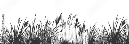 Silhouettes of wild reeds swaying gently along the quiet riverbank.