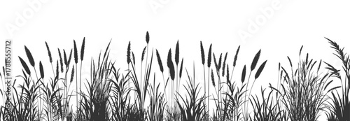 Whispering cattails rising from the misty marsh in evening light.

