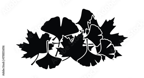 Silhouette of a cluster of ginkgo biloba and maple leaves in black and white