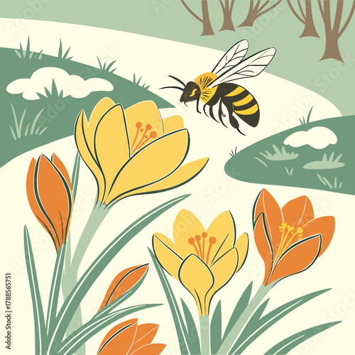 Spring crocuses and a busy bee in a meadow