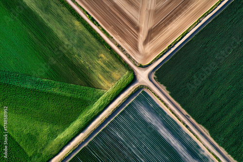 drone captures rural field patterns, vivid aerial view reveals agricultural land divisions