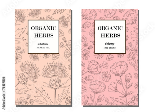 Label design for herbal tea with milk thistle and chicory. Organic herbs. Milk thistle and chicory. Herbal tea hot drink