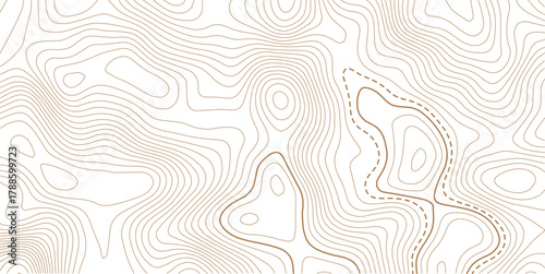 Abstract Topographic Pattern contour line map. Luxury gold abstract line art on transparent background image. .The concept of a conditional geography scheme and the terrain path. Design materials. 