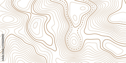 Topographic map background. Geographic line map with elevation assignments.Topographic map ,abstract height lines on white background ,vector.