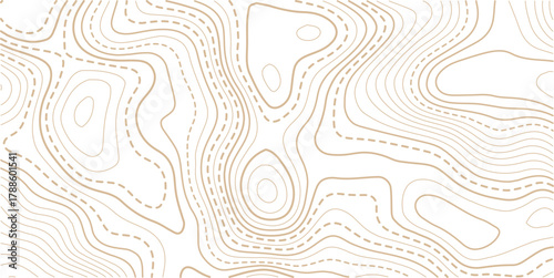 Topographic map background. Geographic line map with elevation assignments.Topographic map ,abstract height lines on white background ,vector.