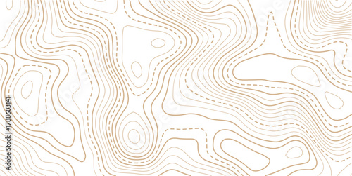 Abstract Topographic Pattern contour line map. Luxury gold abstract line art on transparent background image. Topography background. Vector banner. Topographic map ,abstract height lines .