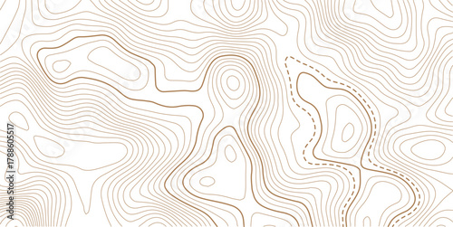 Luxury gold abstract topographic map background with golden lines  texture, wallpaper design for fabric , packaging , web, geographic grid map vector illustration.