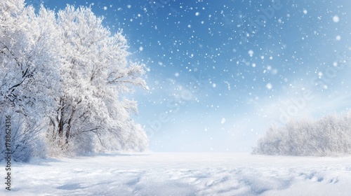 Serene snowy forest in daylight. Frosted trees and falling snow create tranquil winter scenery with bright blue gradient sky