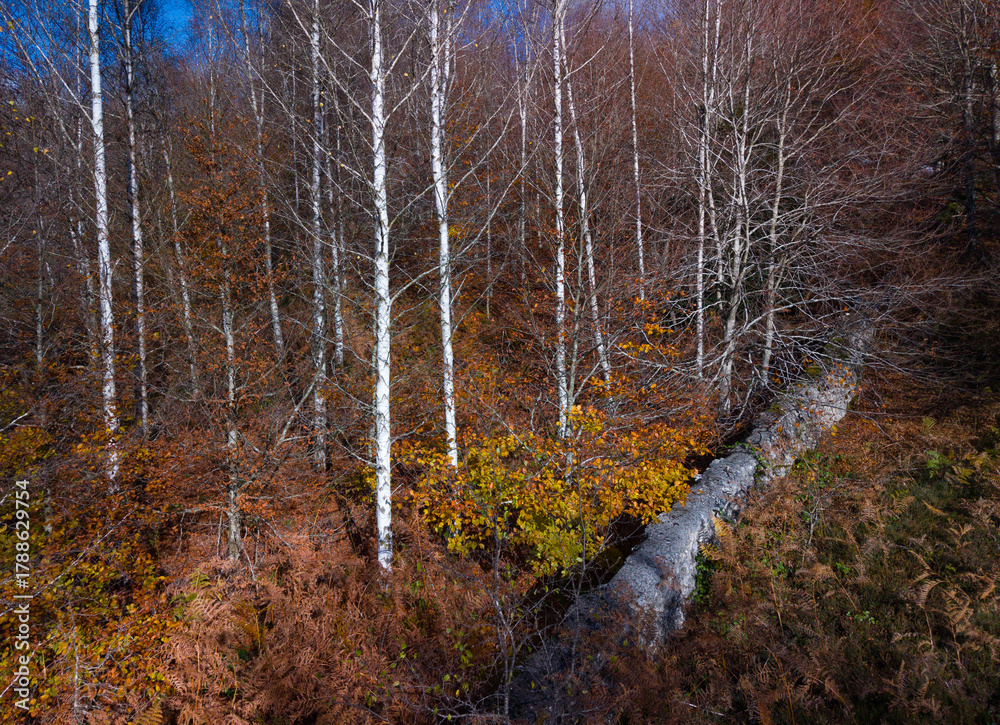 Obraz premium Aerial view from a drone of the 