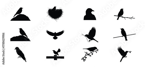 Collection of silhouettes of various birds in different poses and settings against a white background