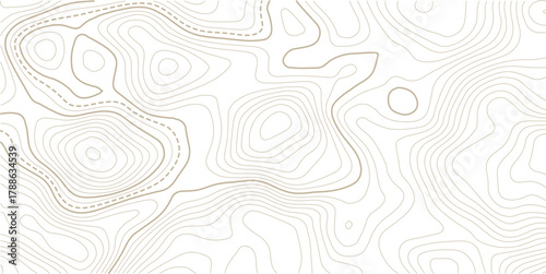 Topographic gold luxury map background. Geographic abstract pattern.paper texture Imitation of a geographical map shades.