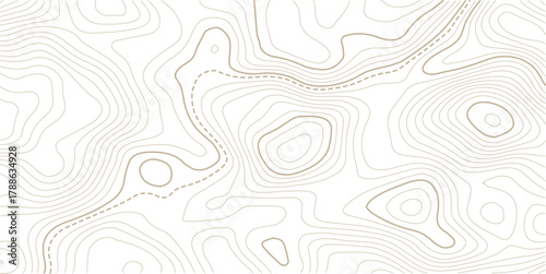 The golden on white contours topography stylized relief diagram line wave carve pattern background 
