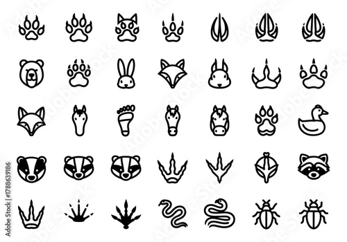 Collection of animal head and footprint icons featuring wildlife like fox, bear, and rabbit. A linear vector set of wild animal tracks for design