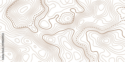 The golden on white contours topography stylized relief diagram line wave carve pattern background 
