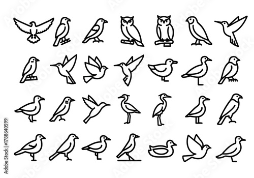 Set of various bird icons in a simple line art style. Collection of avian symbols including eagle, owl, dove, and seagull for logos and pictograms