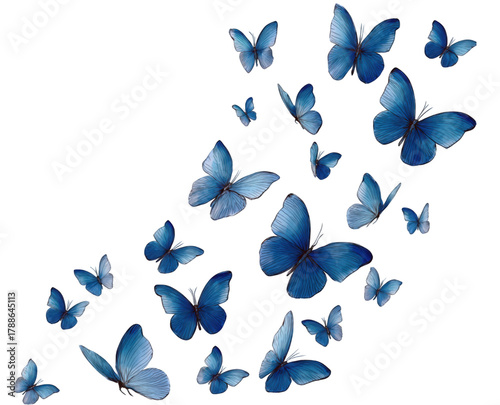 A beautiful swarm of blue butterflies in flight against a white background.