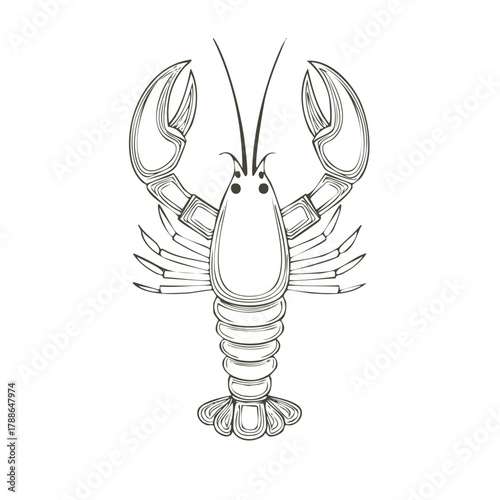 Detailed Line Art Drawing of a Lobster Crustacean with Prominent Claws and Antennae