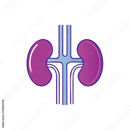 Stylized illustration of human kidneys and associated blood vessels in purple and blue