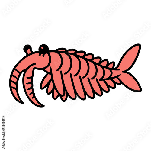 Anomalocaris