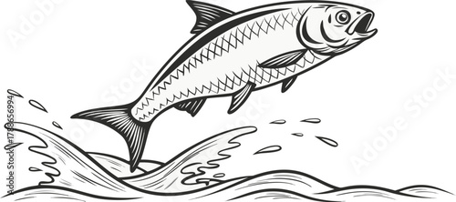 Hilsa Fish Ilish Maach Jumping in Padma River Monochrome