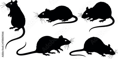 Rat silhouette set with five different rat poses in black vector design for various creative projects and animal themes