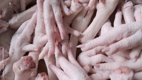 Raw chicken feet poultry claws in close-up  – uncooked food ingredient