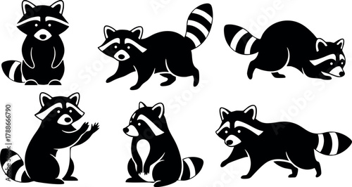 Cute playful raccoon vector set with black and white stylized animals in various poses and expressions for design use