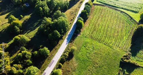 Aerial view of country road through green fields and forest