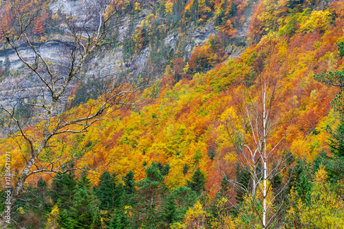Beautiful and foggy valley in autumn in Ordesa National Park Pyrenees, Huesca Aragon Spain