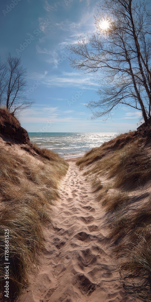 Fototapeta premium Sunlit Trail through Dunes to Lake Michigan at Kohler Andrae State Park, Wisconsin