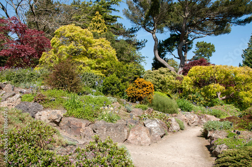 Photography Dublin's Botanic garden