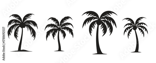 vacation, keywords:, foliage, trees, appearances., structures, category:, unique, frond, design, exhibits, palm, tree, description:, tropical, nature, elements, plant, beach, white, collection, iconic