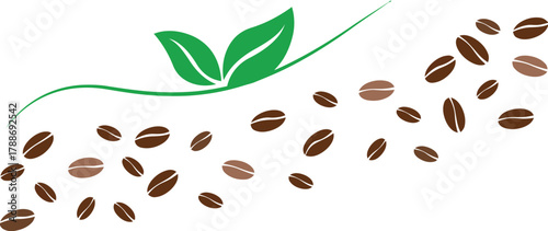 coffee, beans, coffee beans, roasted, brown, green, leaves, plant, swirl, line, graphic, design, illustration, abstract, organic, natural, beverage, drink, aroma, caffeine, energy, food, product, bran