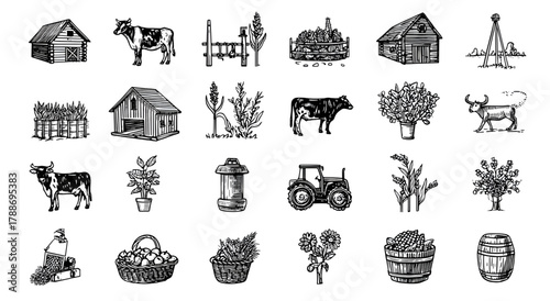 Hand drawn vintage farm and agriculture icon collection set.