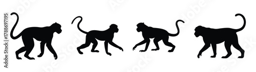 Monkey silhouette vector illustration collection of four monkeys in black and white design style
