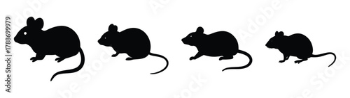 Silhouette of cute mice rodents animal illustration vector art graphic design free download stock image